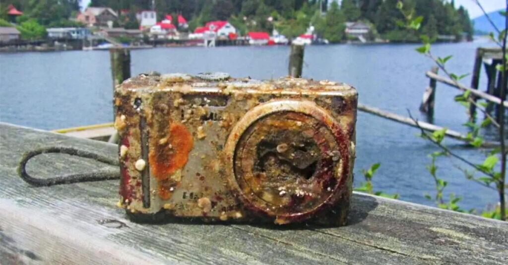 Diver Develops Film Lost At Sea, Gets More Than Expected